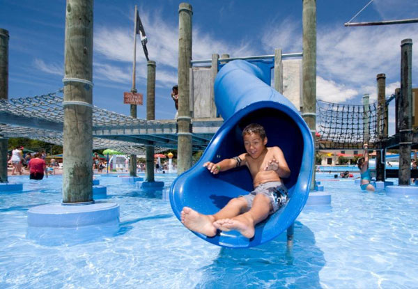$18 for an Adult or $12 for a Child Super Pass (value up to $29)