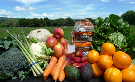 $29 for a 10kg Fruit & Vege Box incl. North Island Urban Delivery