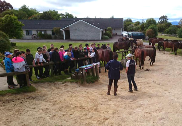 $38.50 for a One-Hour Horse Trek (value up to $55)