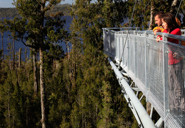 Adult Pass to The West Coast Treetop Walkway - Tower Zipline Ride & Walkaway Combo Also Available