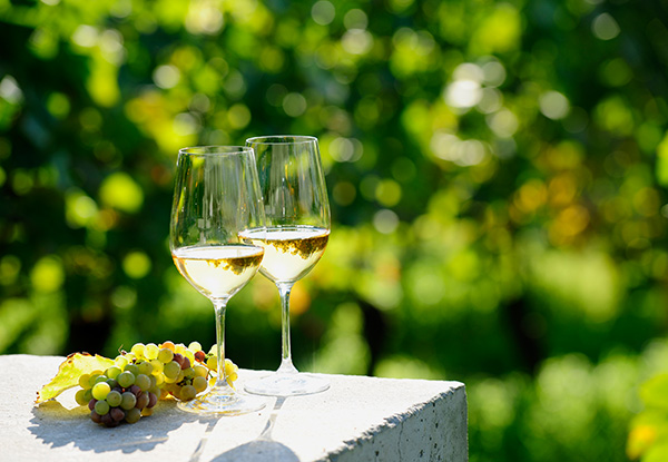 $55 for a Half-Day Bay of Islands Wine Tour for One Person incl. Tastings - Options for Two & Four People