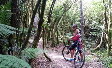 $65 for a Ruapehu Fishers Track Mountain Bike Adventure for Two (value up to $130)