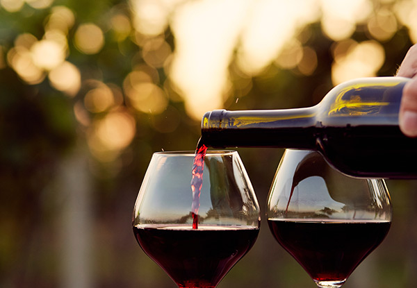 $119 for a Double Decker Bus Sunday Winter Wine Tour incl. Two Top Vineyards & Lunch
