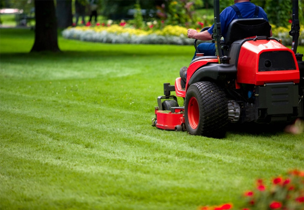 $109 for Four Hours of Garden & Lawn Maintenance Services, or $210 for Eight Hours