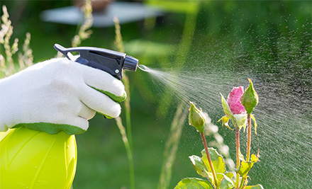 Up to 59% off Lawn Mowing & Garden Care Services - Options for up to Eight Hours (value up to $560)
