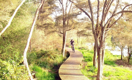 $39 for a Half-Day Cycle Hire & Shuttle for Two on the Karapiro Section & Part of the Arapuni Section of the Waikato River Trail or $59 for a Tour for Two incl. Shuttle, Walk & Cycle Hire from Jones Landing to Pokaiwhenua Stream (value up to $120)