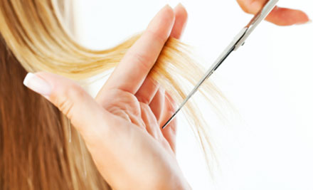 $59 for Cut, Blow Dry & Two-Step De Lorenzo Deep Repair Organic Rosehip Treatment or $175 for a Keratin Smoothing System & Cut - Both Options incl. a $20 Return Voucher (value up to $350)