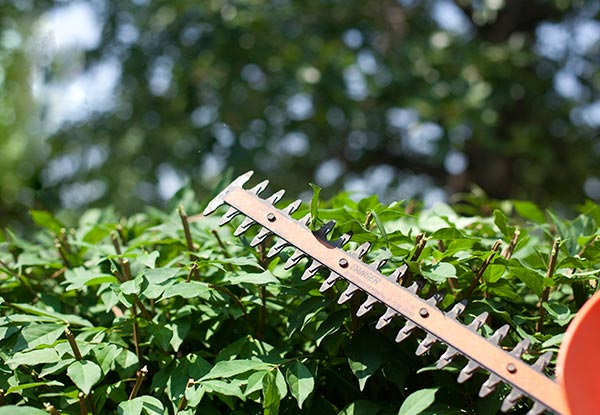 $60 for Two Hours of Garden Services incl. Labour & Equipment or $119 for Four Hours  - Valid Wellington-Wide (value up to $208)
