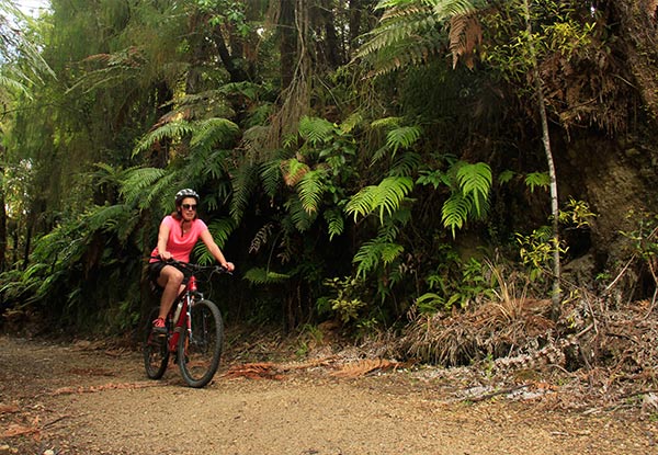 $65 for a Bike Shuttle Service for Two to the Timber Trail