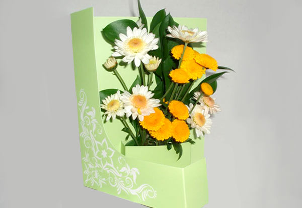From $19.95 for a Mother's Day ChysantheMUM Flower Card (value up to $49.95)