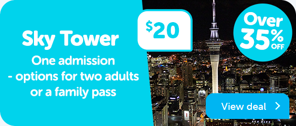 Sky Tower Admission