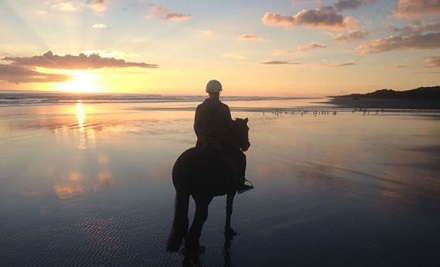 $57 for a One-Hour Horse Trek on Muriwai Beach & Through Woodhill Forest
