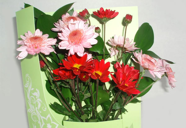 From $19.95 for a Mother's Day ChysantheMUM Flower Card (value up to $49.95)