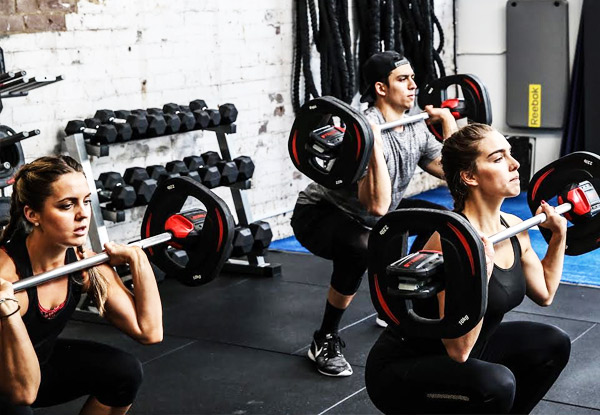 $29 for a One-Month Team Training Membership (value up to $283)