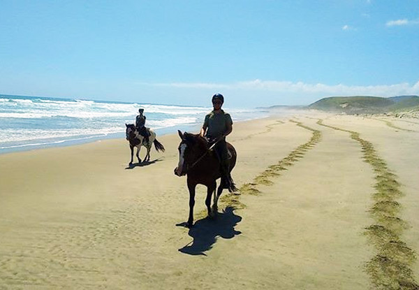 $65 for a 1.5-Hour Beach Horse Ride for One Person, or $120 for Two People