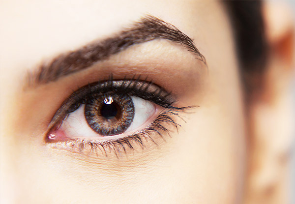 From $29 for High-Quality Silk Eyelash Extensions – Options for up to 40 Lashes per Eye, Eyebrow Tinting & Shaping Available (value up to $160)