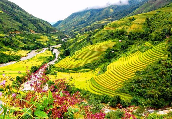 $425 Per Person Twin Share for a Seven-Day North Vietnam Tour incl. Meals as Mentioned, Accommodation, Transportation, & More (value up to $1,124)