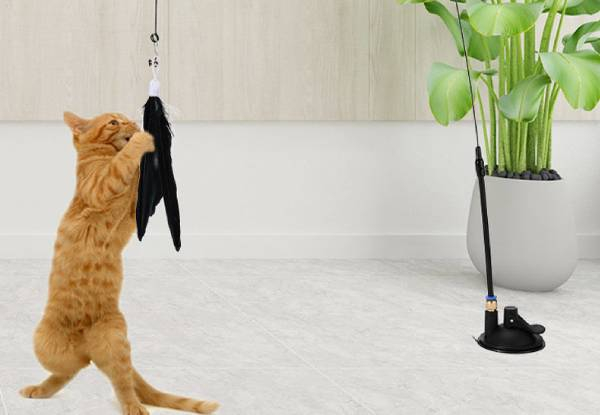 Fluffy Feather Interactive Cat Toy - Three Colours Available