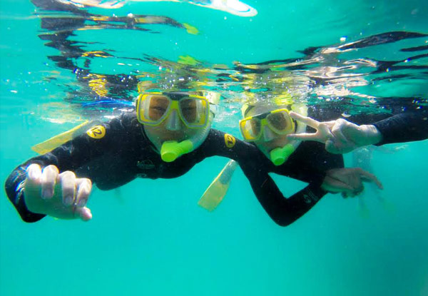 Guided Snorkel Experience at Goat Island Marine Reserve for One Person - Option for Two People
