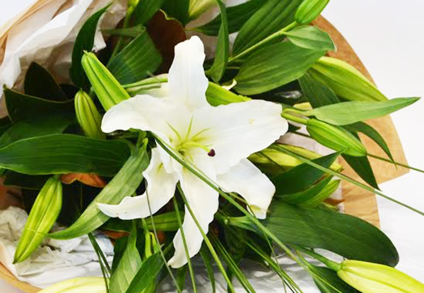 $20 for Scented Lilies - Pick Up or $25 for Auckland Wide Delivery – Two Locations