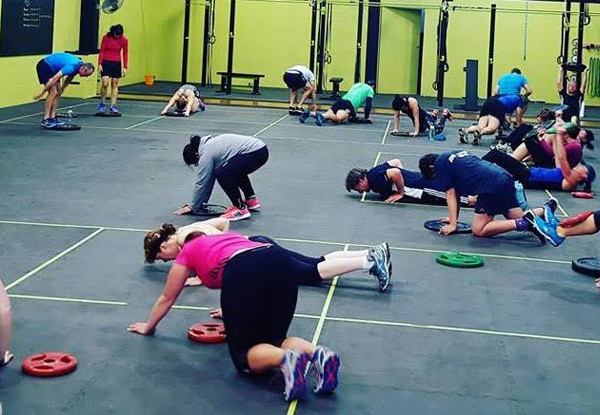 $60 for Five Weeks of Group Fitness Training (value up to $188)