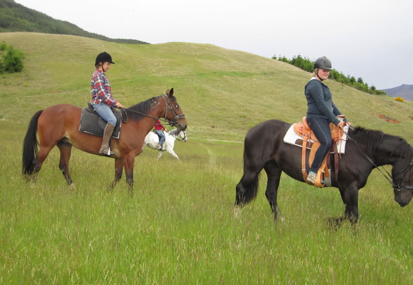 $35 for a One-Hour Horse Trek in Hanmer Springs or $45 for a 1.5-Hour Trek (value up to $90)