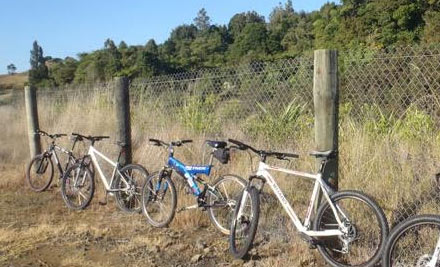 From $60 for a Raglan Scenic Bike Trip Incl. Transfers - Options Available for Two, Three, Four & Five People (value up to $300)