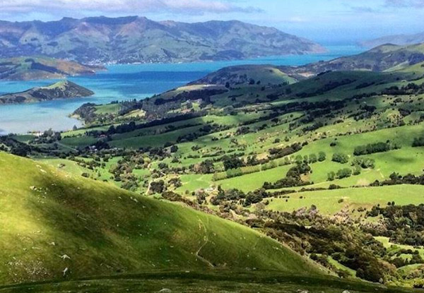 50% off an Adult or Child Two-Hour Akaroa Harbour Nature Cruise (value up to $75)