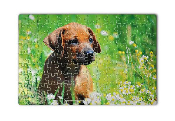 Personalised Jigsaw Puzzle - Four Options Available