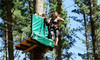 One Admission to Adrenalin Forest Park