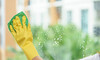 Full Interior & Exterior House Window Clean