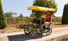 Crocodile Bike Hire in Martinborough