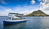 One-Hour Cruise of The Tauranga Harbour