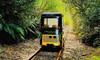 Rail Adventure with Rotorua Rail Cruising