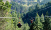 Zipline Pass at the Chch Adventure Park
