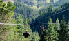 Zipline Pass at the Chch Adventure Park