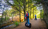 1hr Queenstown Bay Segway Ride from $93.64