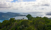 Walk Punga Cove Resort to Eatwells Lookout