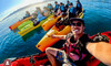 Guided Kaikoura Seal & Marine Life Kayaking