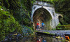 Kaitoke Four-Hour Bike Hire for One
