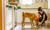 Voucher for Dog Food from Meat 2 U
