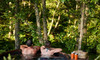 Secluded Hot Tub Experience for Two