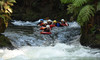 White Water Sledging incl. Online Photo Pack