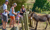 Bullswool Heritage Farm Admission Package