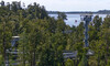 The West Coast Treetop Walkway