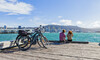 Wellington Bays & Petone eBike Adventure