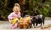 Admission to Staglands Wildlife Reserve