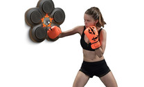 Wall Mounted Boxing Target with Lights