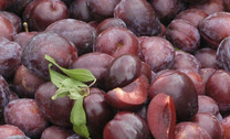 4kg Hawkes Bay Black Doris Plums