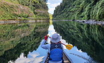 Whanganui Four-Day Canoe Trip